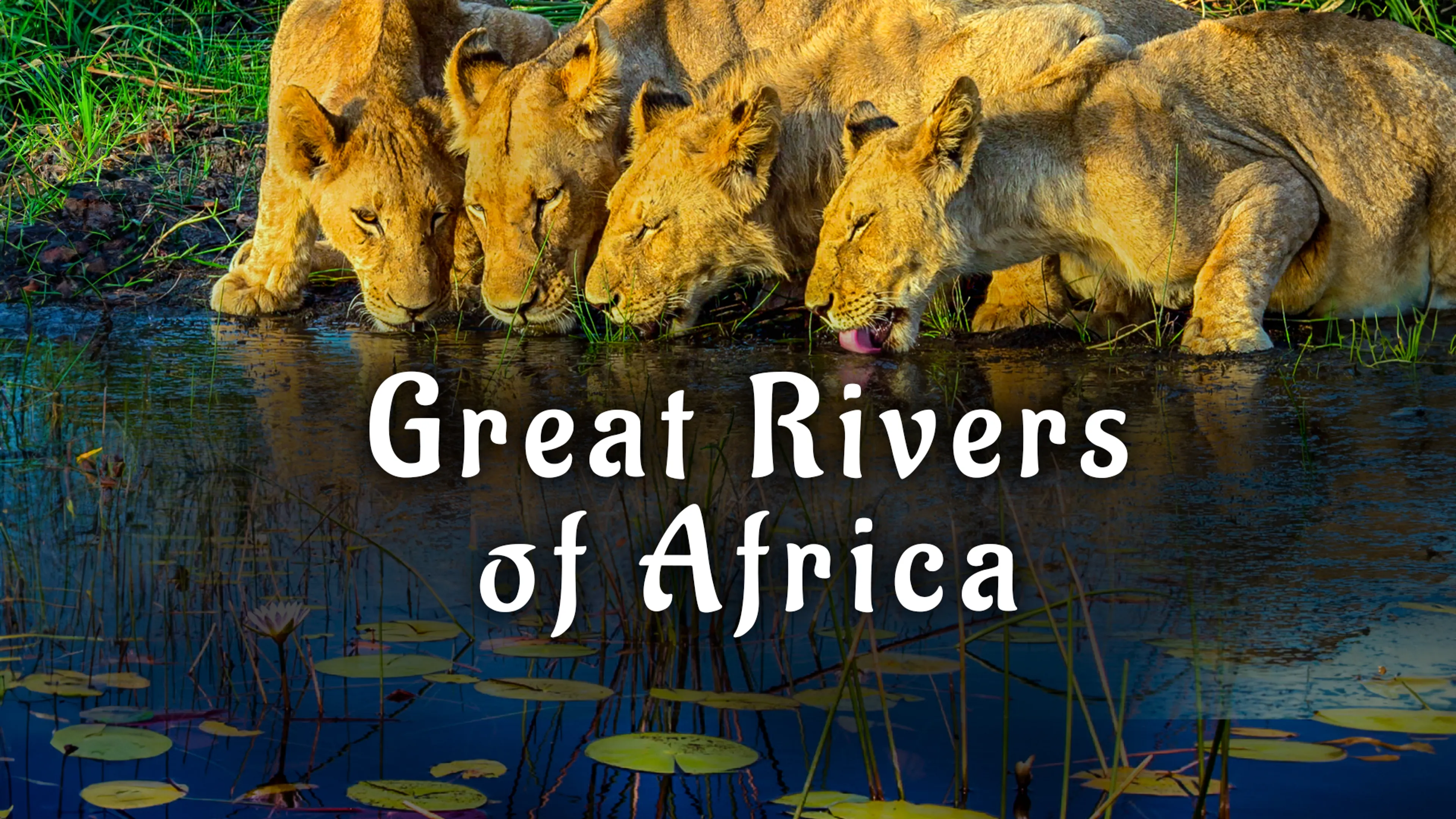 Great Rivers of Africa poster